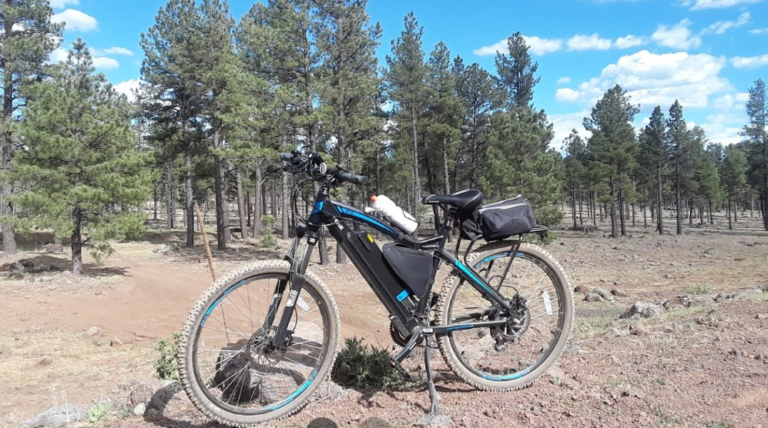 Pedal Jetz Electric E Bikes 3 768x428