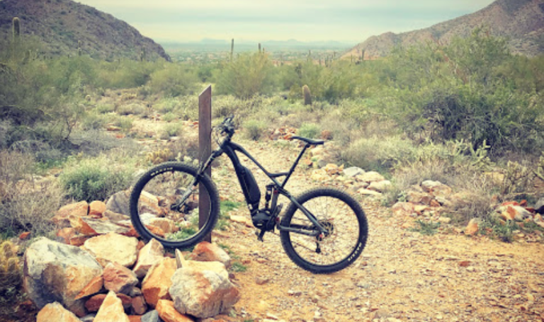 Pedego Electric Bikes 2 768x455