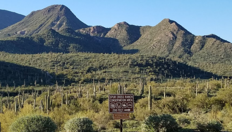 Spur Cross Conservation Area 768x439
