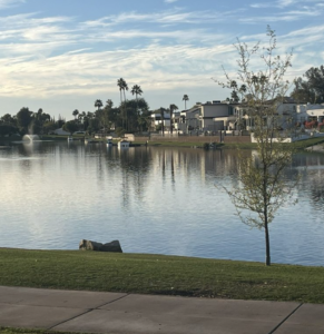 Mercado Del Lago Mall Scottsdale